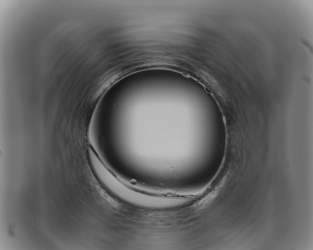 X0000096460985200801311508