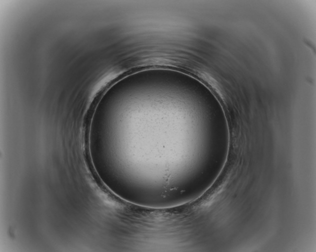 X0000096460987200801311508