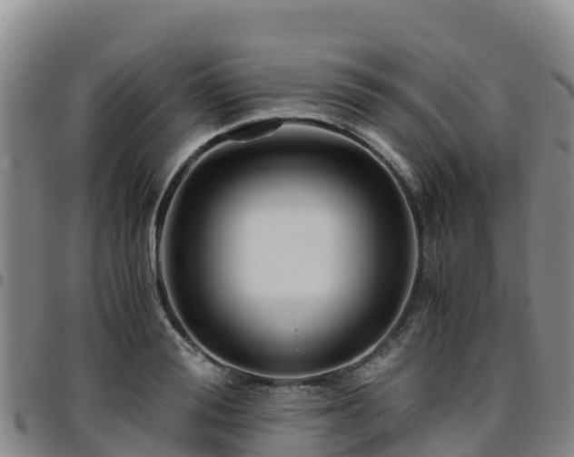 X0000096460988200801311508