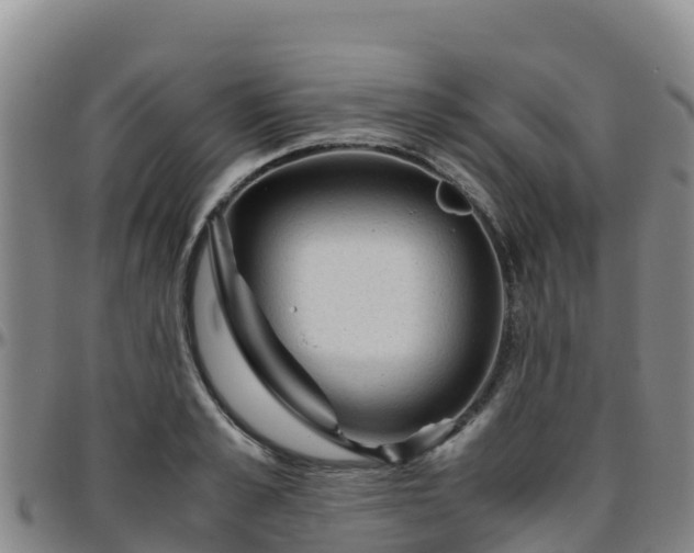 X0000096460989200801311508