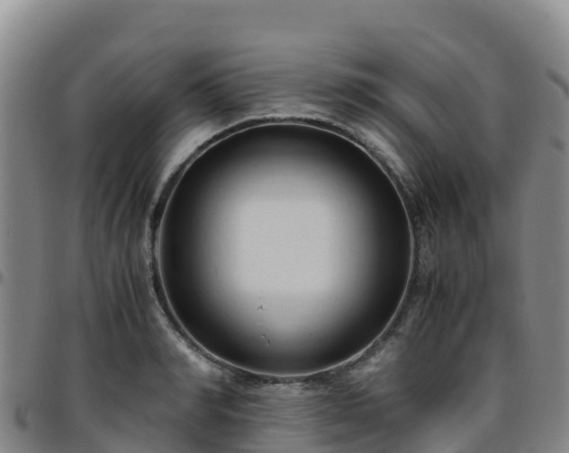 X0000096460990200801311508