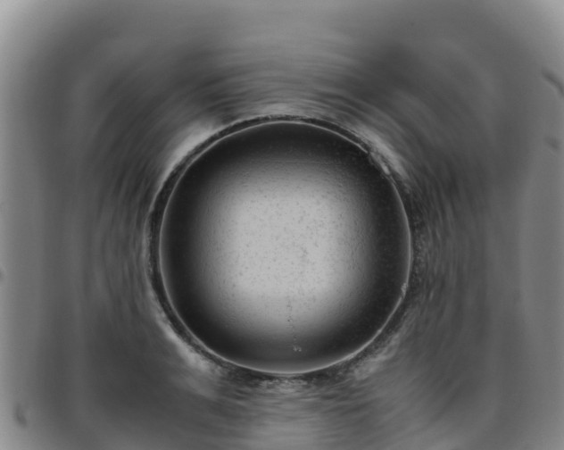 X0000096460991200801311508