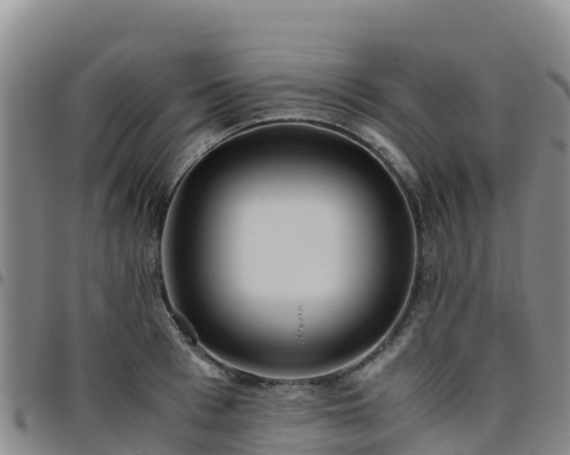 X0000096460993200801311508