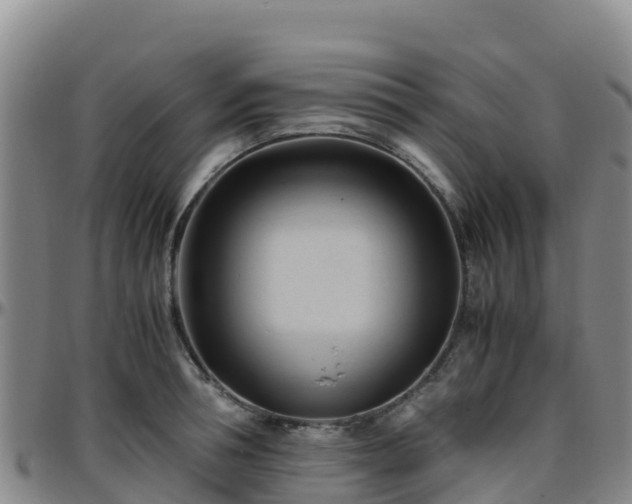X0000096460994200801311508