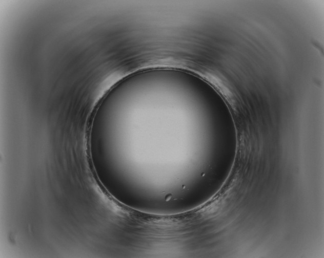 X0000096460998200801311508