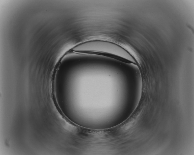 X0000096460999200801311508