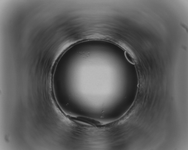 X0000096461000200801311508