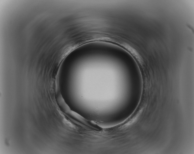 X0000096461001200801311508