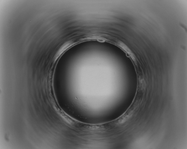 X0000096461002200801311508