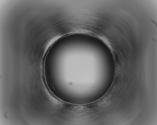 X0000096461003200801311508