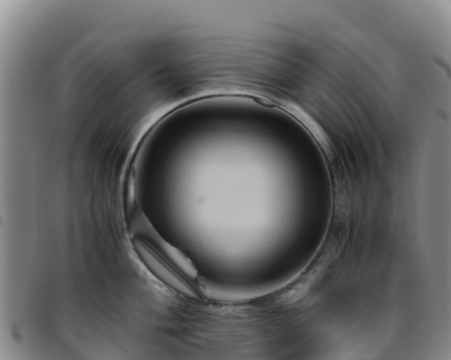 X0000096461004200801311508