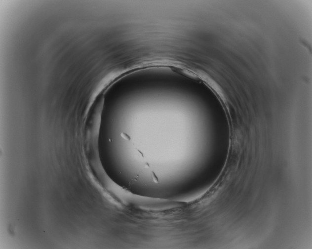 X0000096461005200801311508