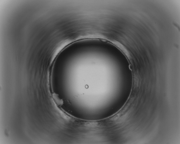 X0000096461006200801311508