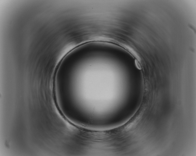 X0000096461007200801311508