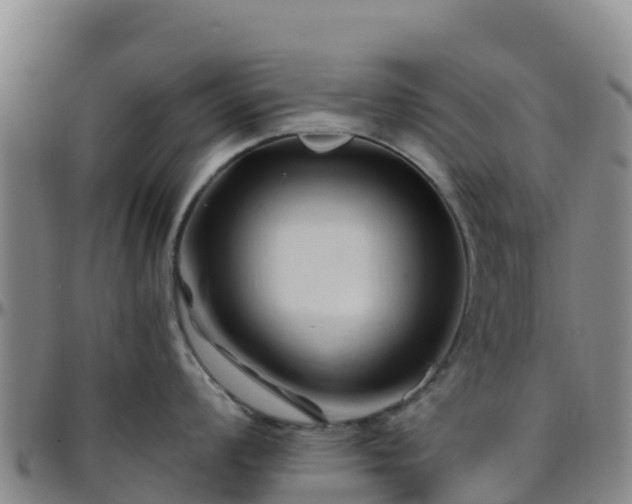 X0000096461008200801311508