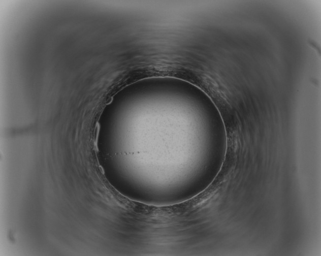 X0000096461009200801311507