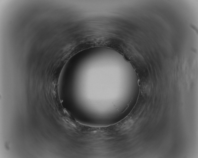 X0000096461010200801311507