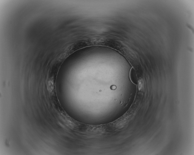 X0000096461011200801311507