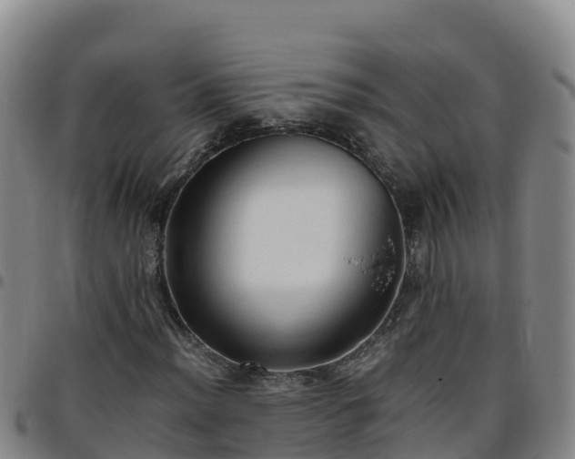X0000096461012200801311507