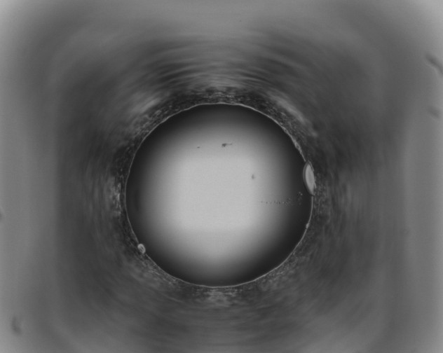 X0000096461013200801311507