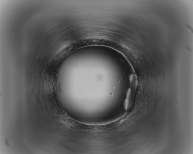 X0000096461014200801311507
