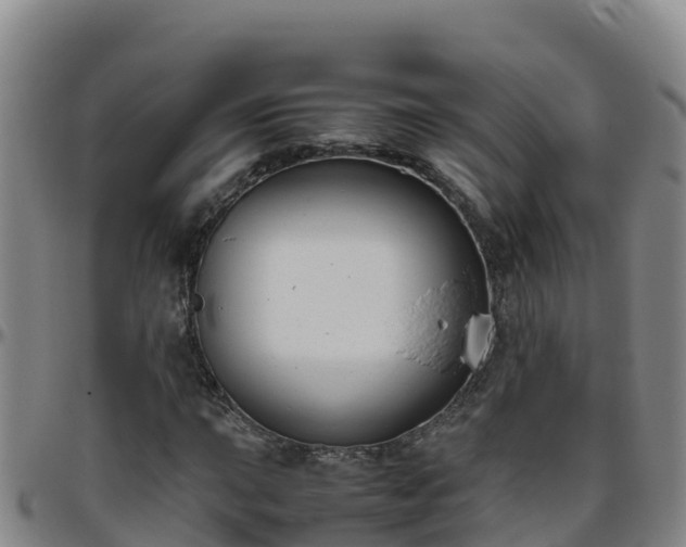 X0000096461015200801311507