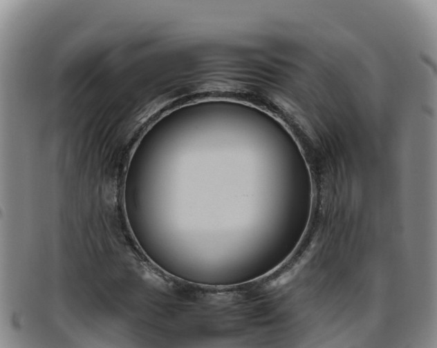 X0000096461017200801311507