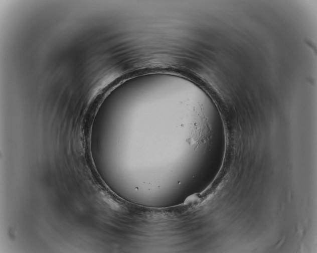 X0000096461018200801311507