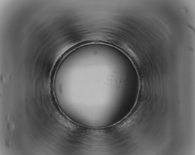 X0000096461020200801311507