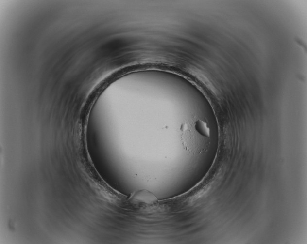 X0000096461021200801311507