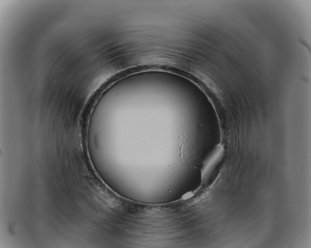 X0000096461022200801311507