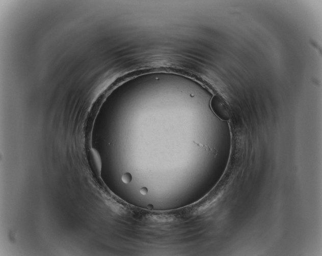 X0000096461023200801311507