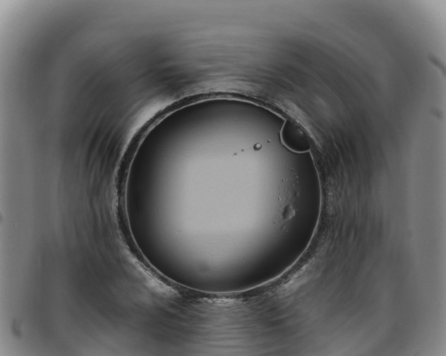 X0000096461024200801311507
