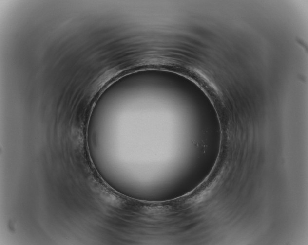 X0000096461025200801311507
