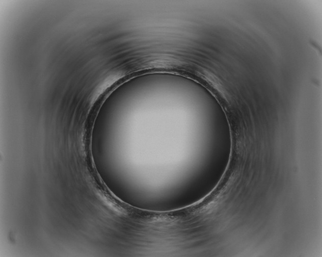 X0000096461026200801311507