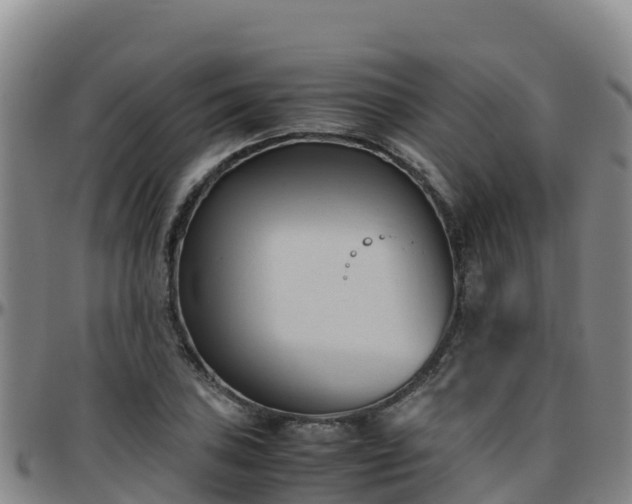 X0000096461027200801311507