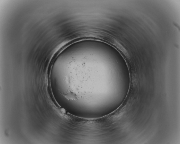 X0000096461028200801311507