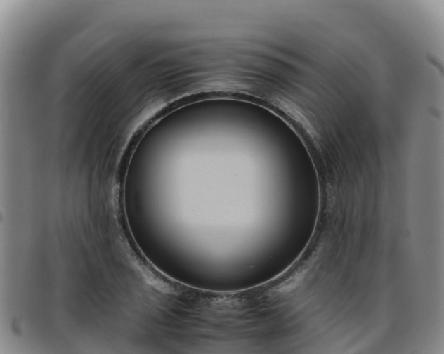 X0000096461029200801311507