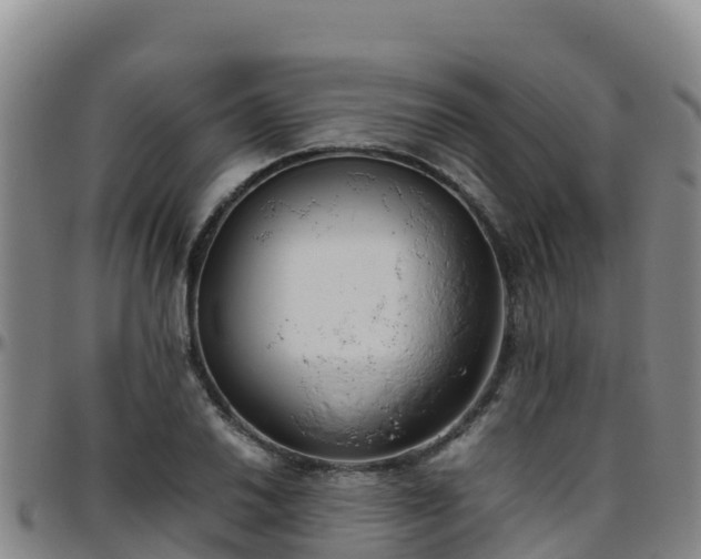 X0000096461030200801311507
