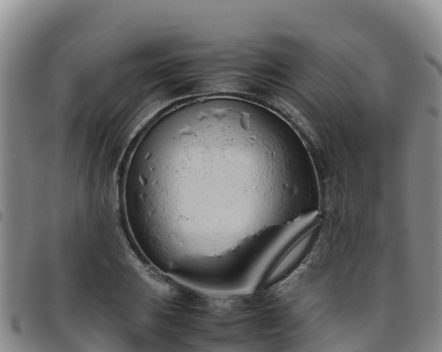 X0000096461031200801311507