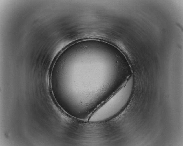 X0000096461032200801311507