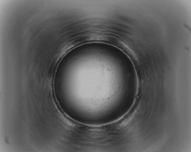 X0000096461033200801311507
