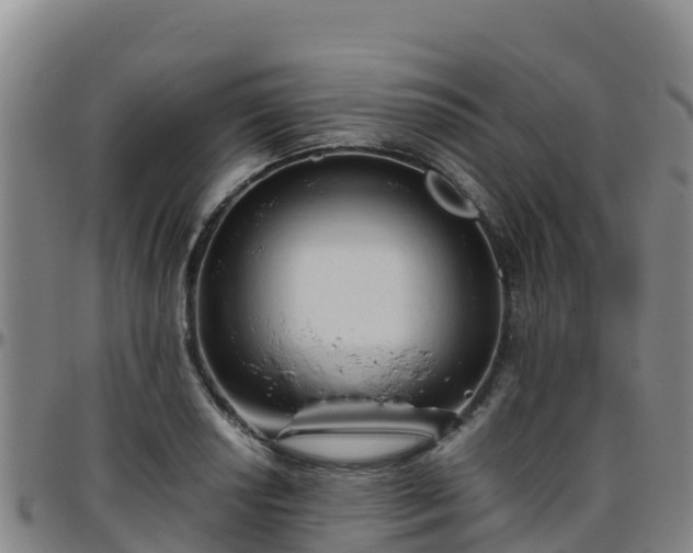 X0000096461034200801311507