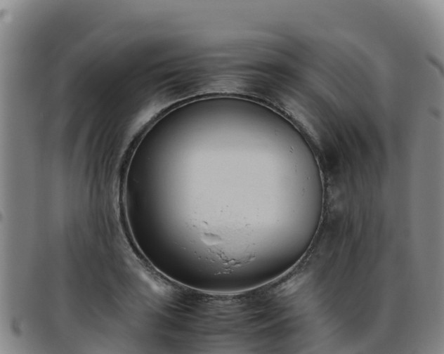 X0000096461035200801311507