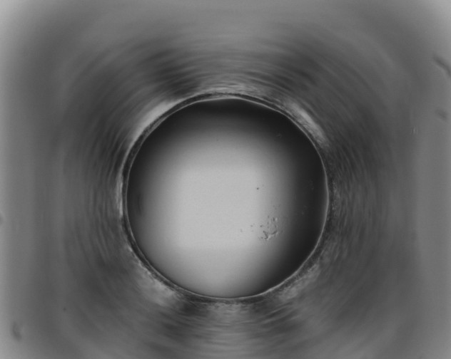 X0000096461036200801311507