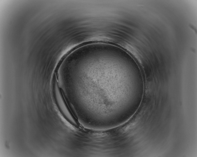 X0000096461037200801311507