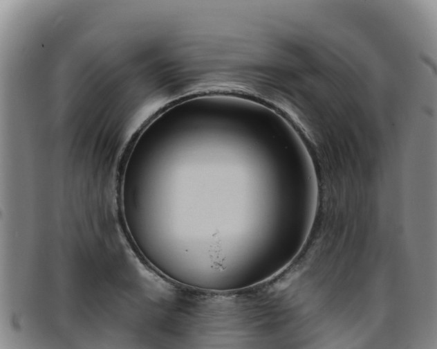X0000096461038200801311507
