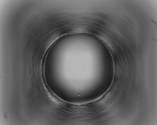 X0000096461039200801311508