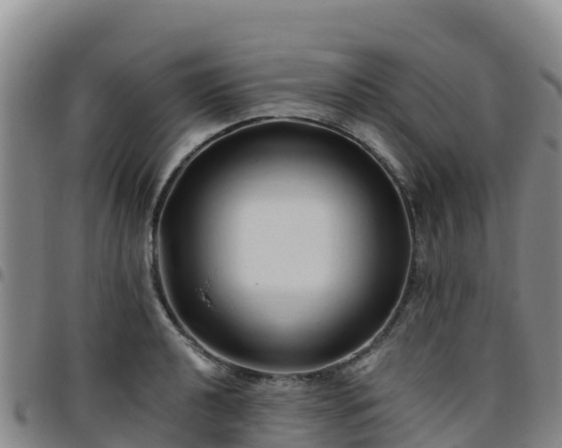 X0000096461040200801311508