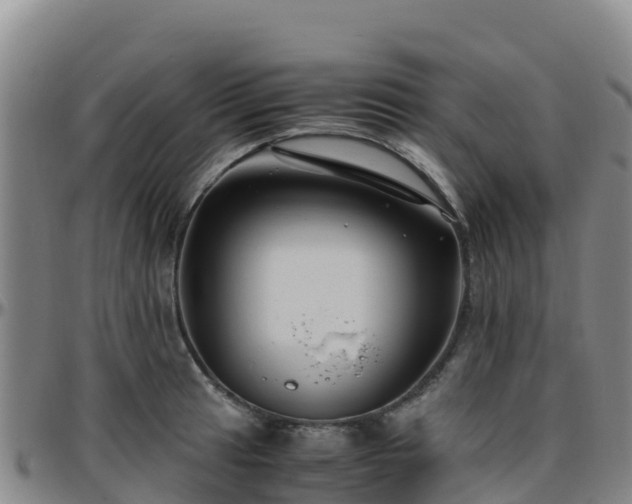 X0000096461041200801311508